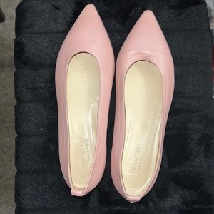 Everlane Pink Leather Flats